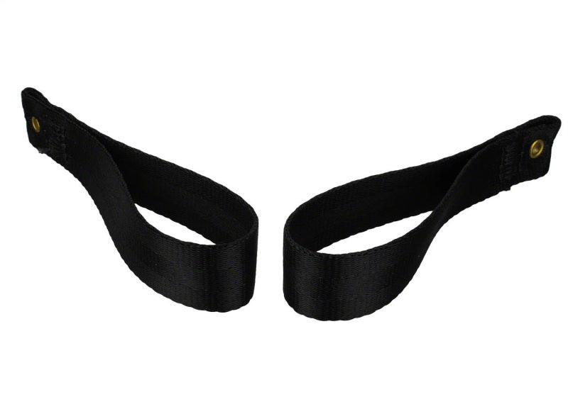 Ford Racing Tube Door Pull Strap | Ford Bronco (21-26) (M-19008-BTDP)