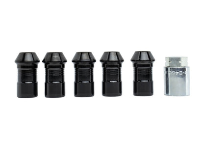 Ford Racing 2023+ Ford Bronco Raptor M14 x 1.5 Black Security Lug Nut Kit | Ford Bronco (21-26) (M-1A043-A5)