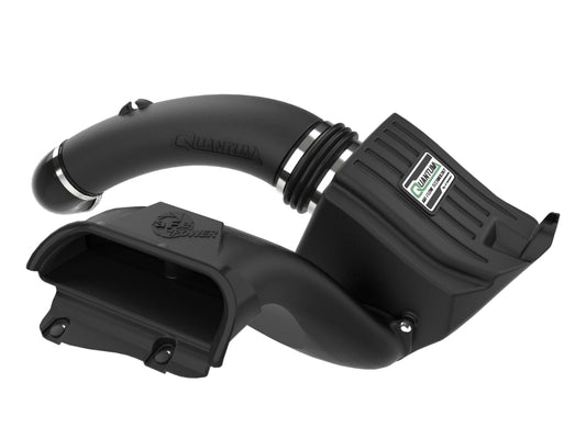 aFe Quantum Cold Air Intake w/ Pro Dry S Filter | Ford F-150 (15-20) (53-10034D)