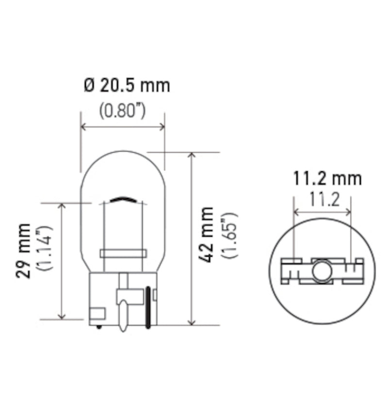 Hella 7440 12V 21W Bulb | Ford Ranger (19-26) (7440)