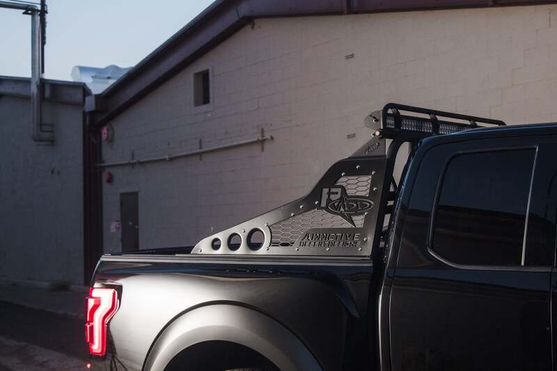 Addictive Desert Designs Race Series Chase Rack w/ 2017 Grill Pattern | Ford F-150 Raptor (17-18) (C115802800103)