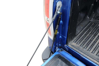 Dee Zee Tailgate Assist Shock | Ford F-150 (04-08) / 09-12 / 13-14 / Raptor (10-14) (DZ43200)