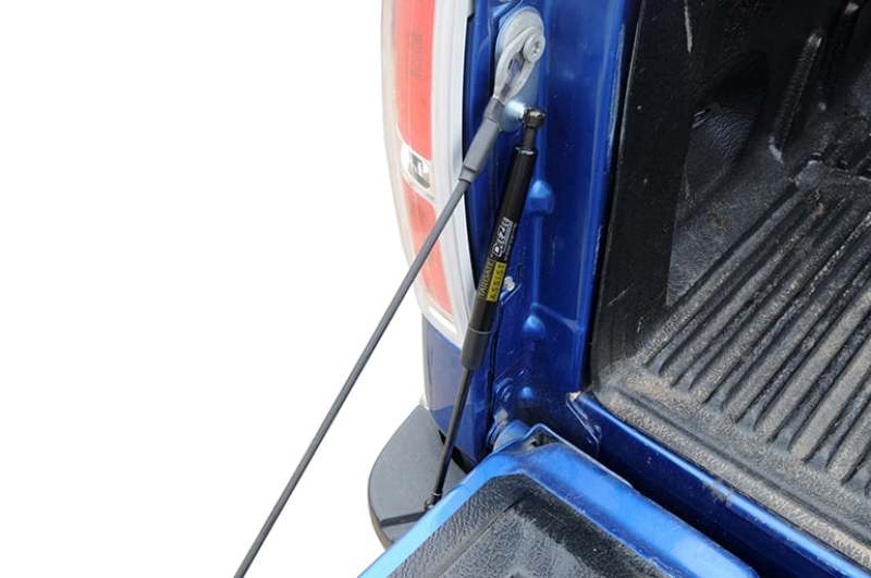 Dee Zee Tailgate Assist Shock | Ford F-150 (04-08) / 09-12 / 13-14 / Raptor (10-14) (DZ43200)