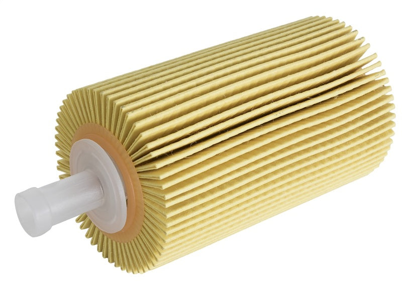 aFe Pro GUARD D2 Oil Filter (4 Pack) | Toyota Tundra/Sequoia V8 4.6L/5.7L (07-17) (44-LF015-MB)