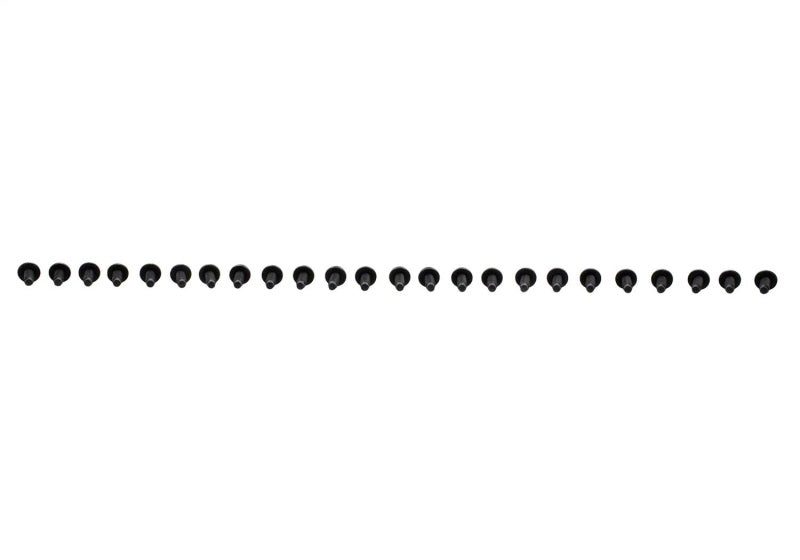 Ford Racing Bead Lock Ring Bolt Kit | Ford Ranger (19-26) / Bronco (21-26) (M-503317K-BOLT)