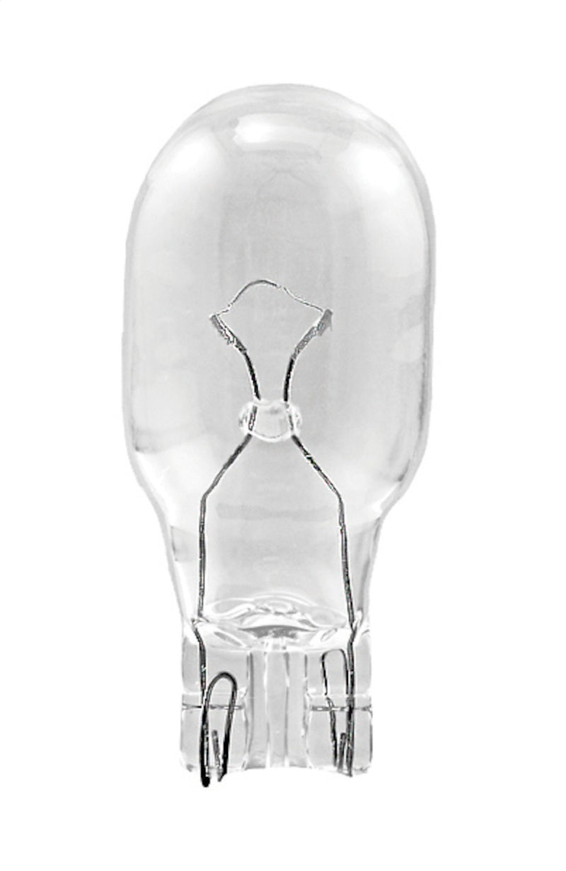 Hella 12V 13W Bulb | Ford Ranger (19-26) (912)