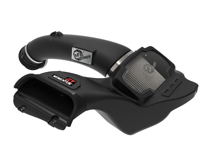aFe Momentum GT Pro DRY S Cold Air Intake System | Ford F-150 (21-22) (50-70074D)