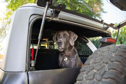 DV8 Offroad Ford Bronco Dog Barrier | Ford Bronco (21-26) (MPBR-10)