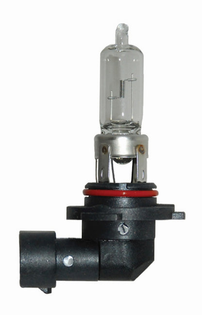 Hella 9005/HB3 12V 65W Bulb | Ford Ranger (19-26) (9005)