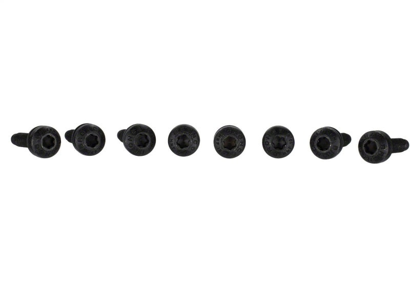 Ford Racing Bronco Tube Door Replacement Grab Handle | Ford Bronco (21-26) (M-19008-BTDG)