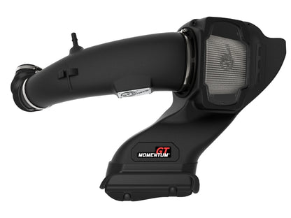 aFe Momentum GT Pro DRY S Cold Air Intake System | Ford F-150 (21-22) (50-70074D)