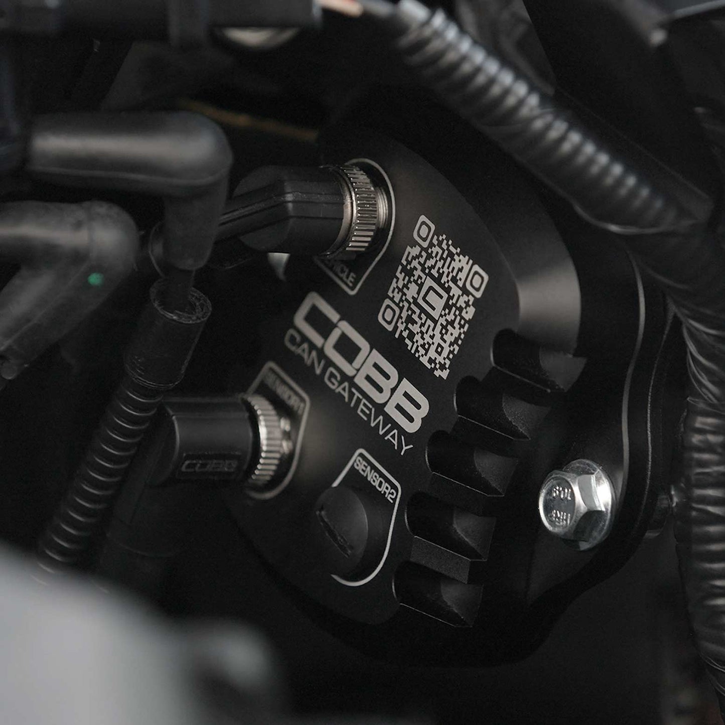 Cobb 17-20 Ford F-150 Ecoboost Raptor CAN Flex Fuel Upgrade Kit