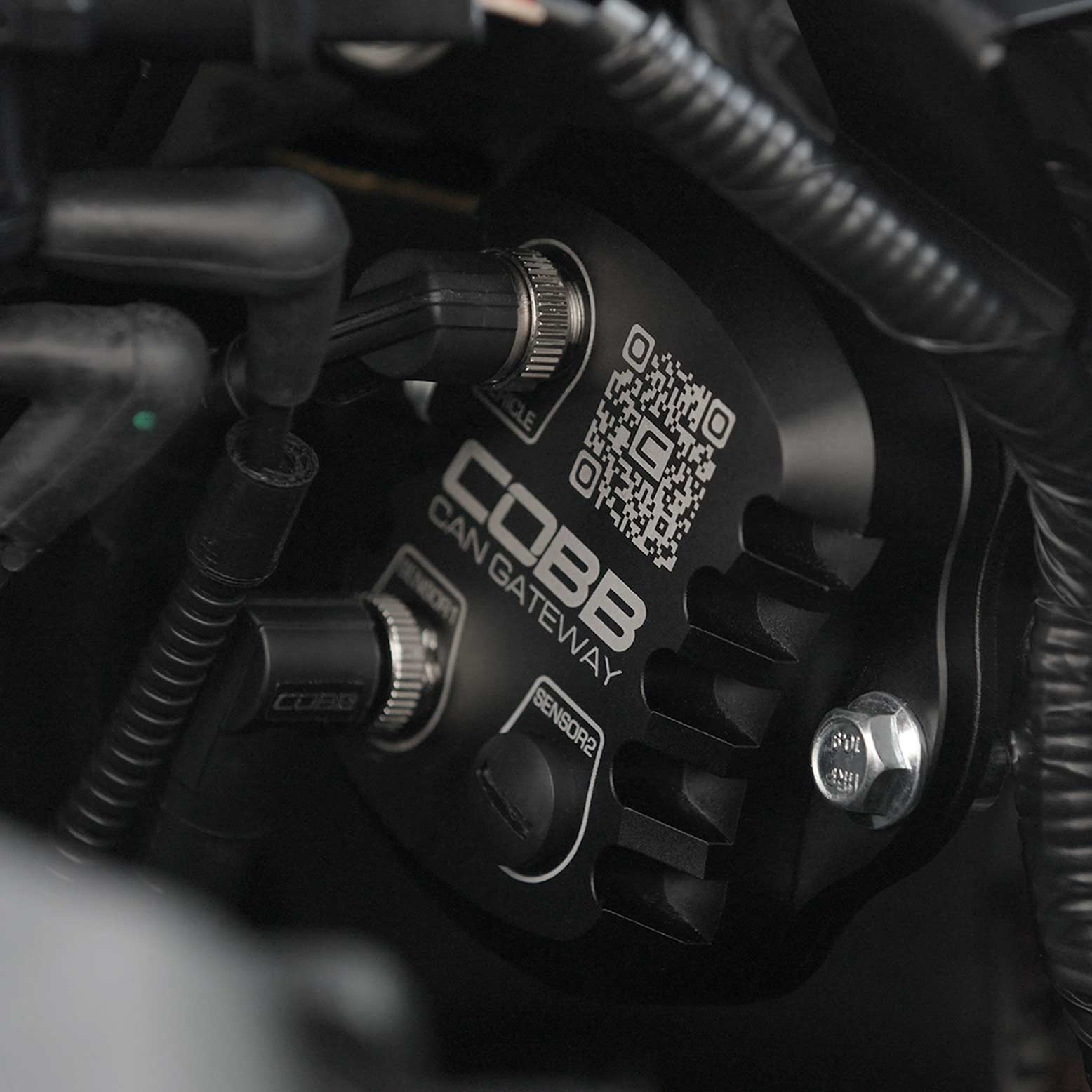Cobb 17-20 Ford F-150 Ecoboost Raptor CAN Flex Fuel Upgrade Kit