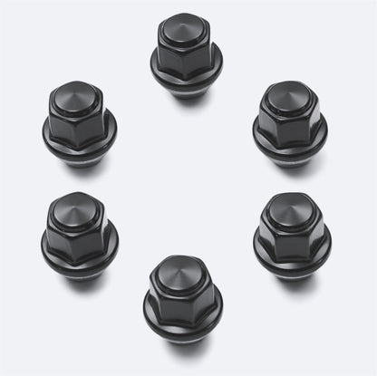 Ford Racing Blackout Kit | Ford Bronco (21-26) (M-1019-BBK)