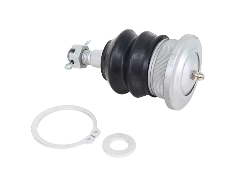 Whiteline Fixed Offset UCA Replacement Ball Joint Kit | Ford Ranger (19-26) (KSK181)