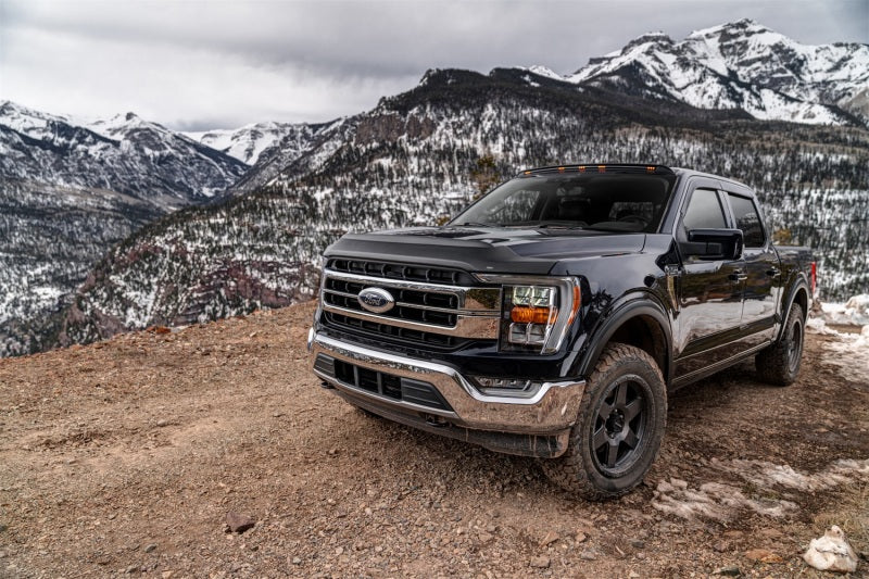 Husky Liners Aeroskin II Bug Shield | Ford F-150 (21-23) (2830196)