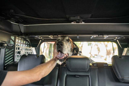 DV8 Offroad Ford Bronco Dog Barrier | Ford Bronco (21-26) (MPBR-10)