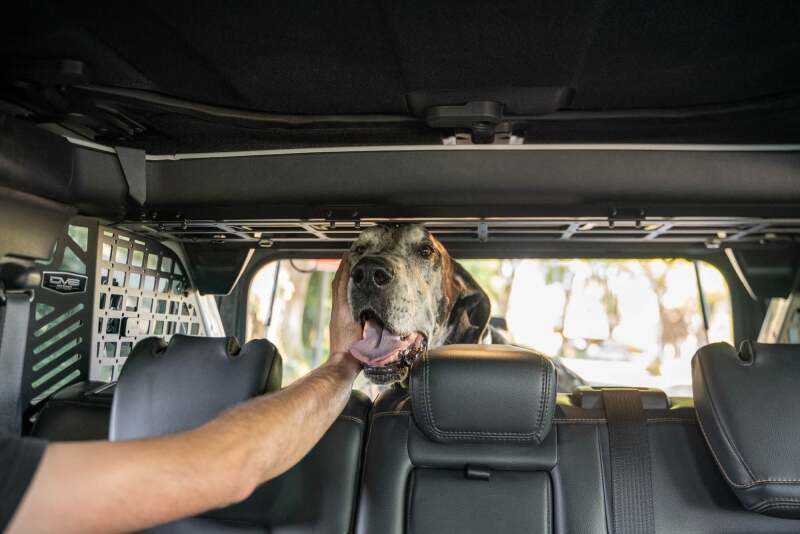 DV8 Offroad Ford Bronco Dog Barrier | Ford Bronco (21-26) (MPBR-10)