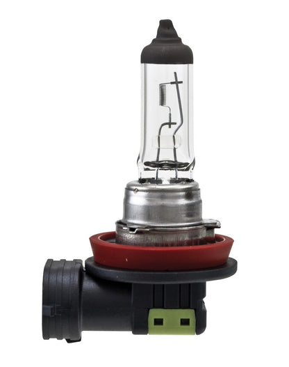 Hella H11 12V 55W Bulb | Ford Ranger (19-26) (H11)
