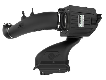 aFe Quantum Cold Air Intake w/ Pro Dry S Filter | Ford F-150 (15-20) (53-10034D)