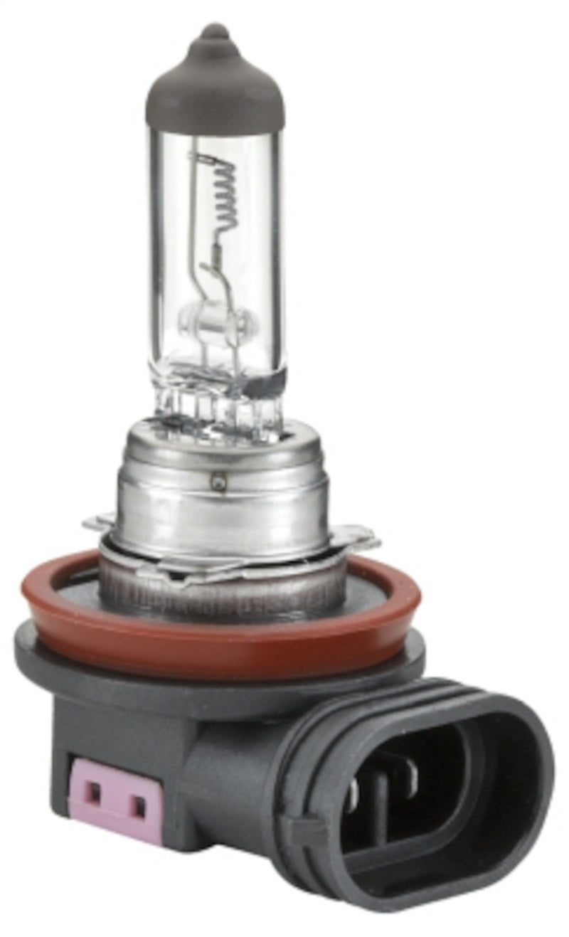 Hella H11 12V 55W Bulb | Ford Ranger (19-26) (H11)