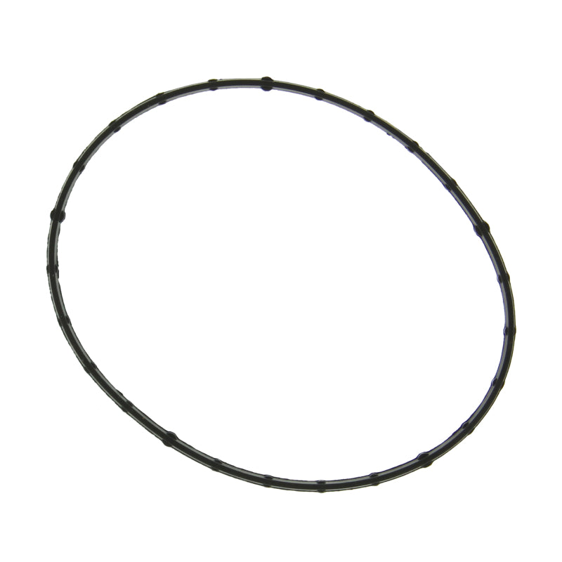 Fel-Pro Fuel Injection Throttle Body Gasket | Ford F-150 (09-17) / Mustang (11-17) (61698)