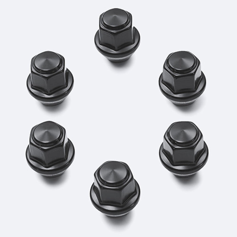Ford Racing M14 x 1.5 Black Lug Nut | Ford Bronco (21-26) (M-1012-F15B)