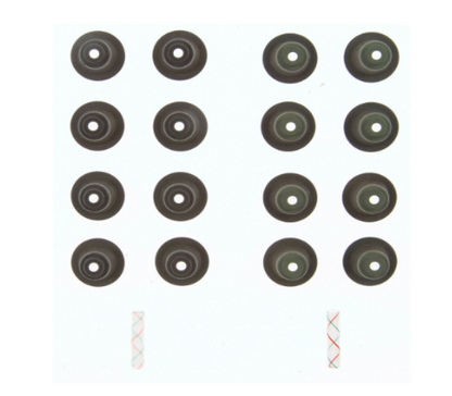 Fel-Pro Valve Stem Oil Seal Set | Ford Ranger (19-26) / Bronco (21-26) (SS72917)