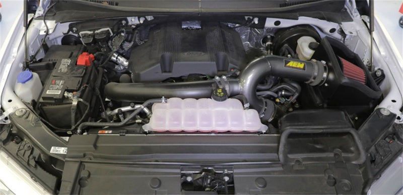 AEM 3.5L V6 Cold Air Intake | Ford F-150 (17-18) (21-8130DC)