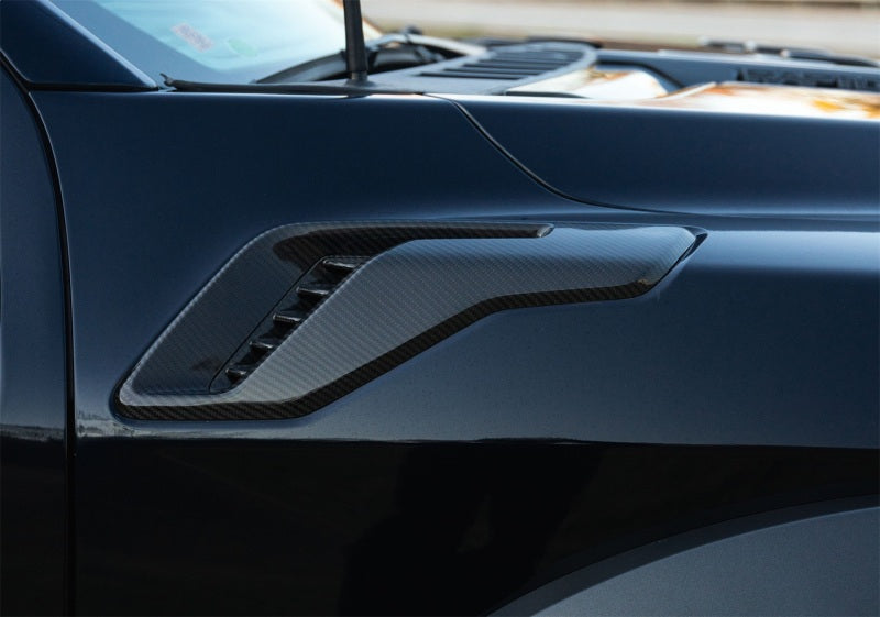 Ford Racing 21-24 F-150 Raptor Carbon Fiber Fender Vent Set | Ford F-150 Raptor (21-24) (M-16026-FG)