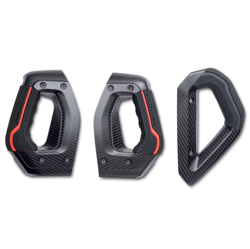 Ford Racing Carbon Fiber Grab Handle Kit | Ford Bronco (21-26) (M-7220-BCF)