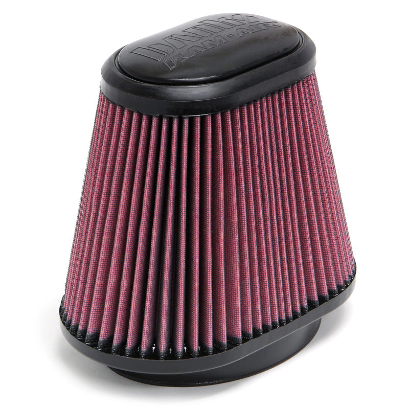 Banks Power Air Filter Element | Ford F-150 (04-08, 15-17)