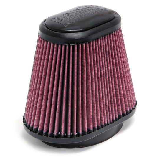 Banks Power Air Filter Element | Ford F-150 (04-08, 15-17)