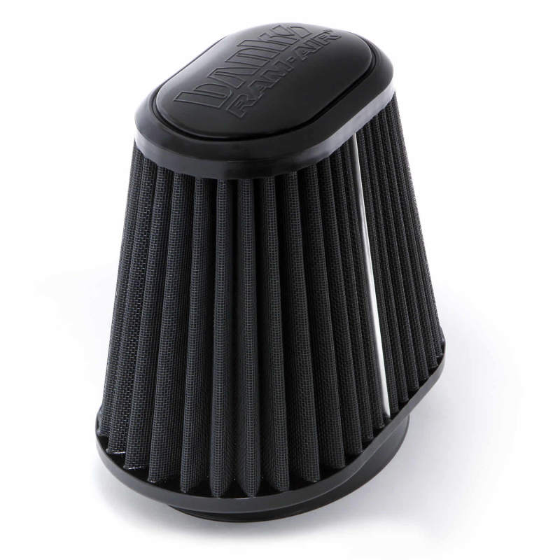 Banks Power Dry Air Filter Element | Ford F-150 (04-08, 15-17)