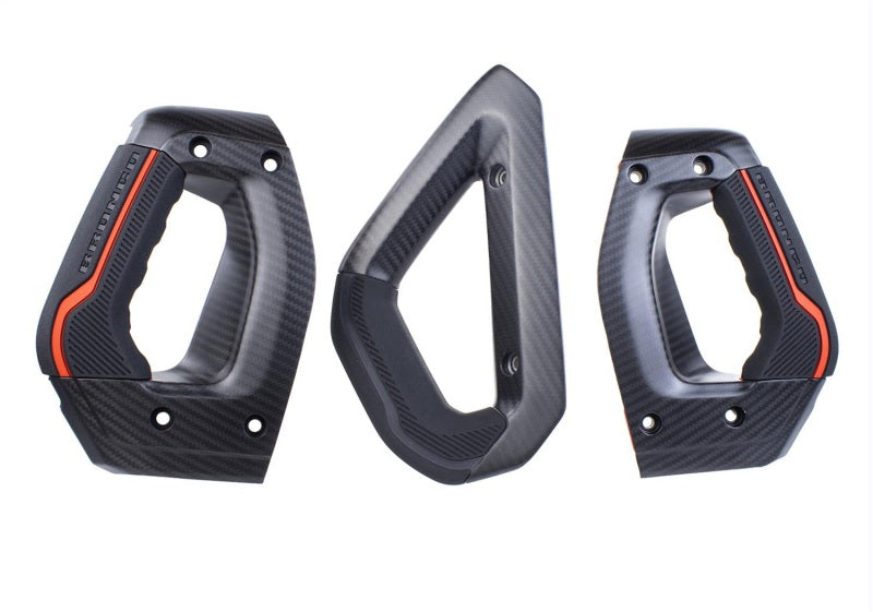 Ford Racing Carbon Fiber Grab Handle Kit | Ford Bronco (21-26) (M-7220-BCF)