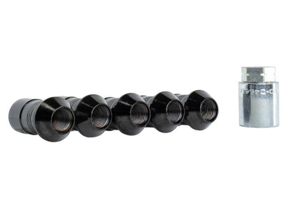 Ford Racing 2023+ Ford Bronco Raptor M14 x 1.5 Black Security Lug Nut Kit | Ford Bronco (21-26) (M-1A043-A5)
