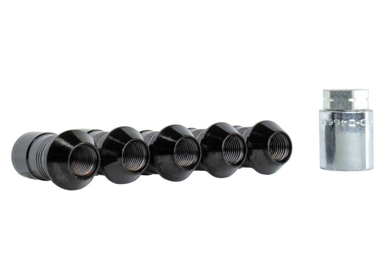 Ford Racing 2023+ Ford Bronco Raptor M14 x 1.5 Black Security Lug Nut Kit | Ford Bronco (21-26) (M-1A043-A5)