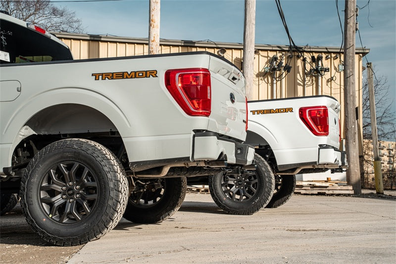 CORSA 3.5L V6 Sport Cat-Back Dual Rear Exit Exhaust | Ford F-150 (21-25) (21185BLK)