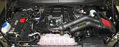 AEM 3.5L V6 Cold Air Intake System | Ford F-150 (15) (21-8128DC)