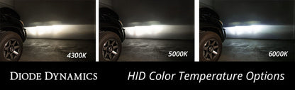 Diode Dynamics D5A HID Bulb | GMC Sierra 1500 (19-26) (DD1220P)