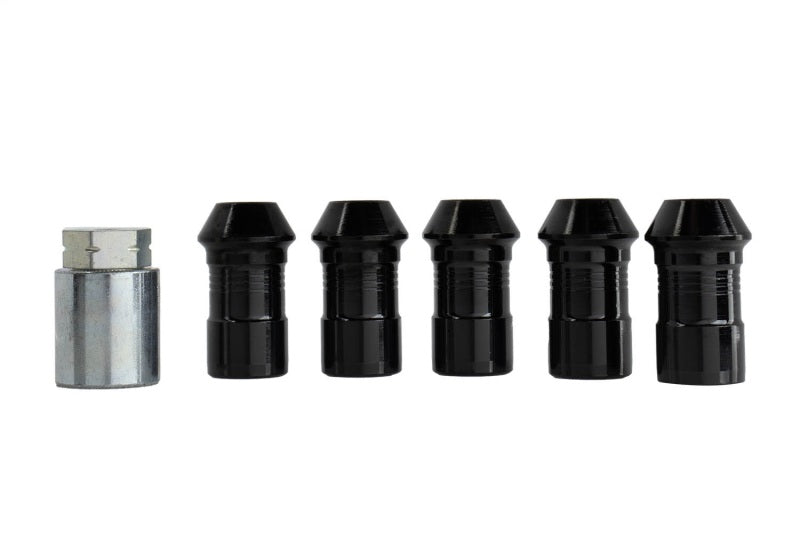 Ford Racing 2023+ Ford Bronco Raptor M14 x 1.5 Black Security Lug Nut Kit | Ford Bronco (21-26) (M-1A043-A5)