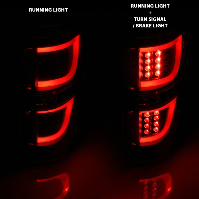 ANZO LED Taillight Assembly Black | Ford F-150 (09-13) (311257)