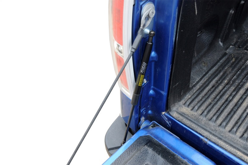 Dee Zee Tailgate Assist Shock | Ford Ranger (19-26) (DZ43206)