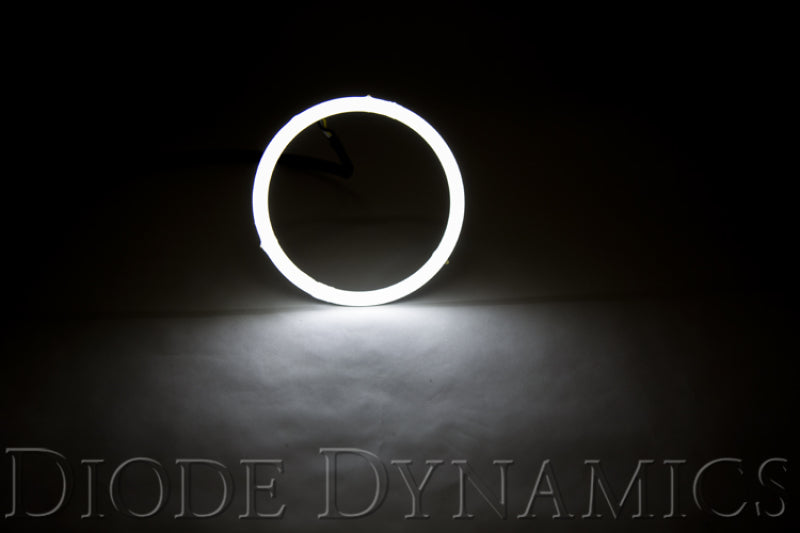 Diode Dynamics DD HD LED Halos | Jeep Wrangler JL / JK (18-25 / 07-18) (DD2068)