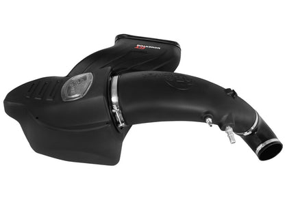 aFe Momentum GT Cold Air Intake System w/ Pro DRY S Filter | Ford F-150 V8 5.0L (15-17) (51-73114)