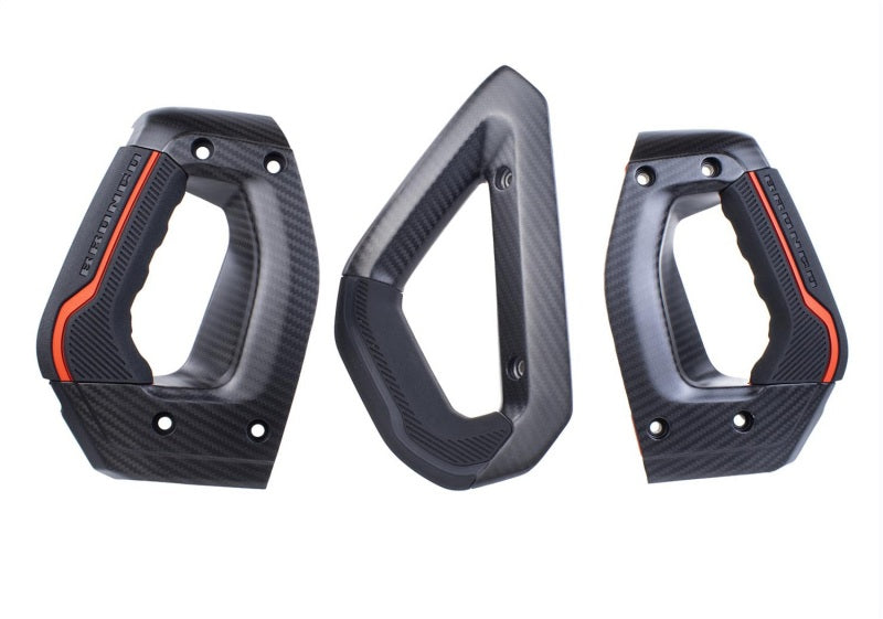 Ford Racing Carbon Fiber Grab Handle Kit | Ford Bronco (21-26) (M-7220-BCF)