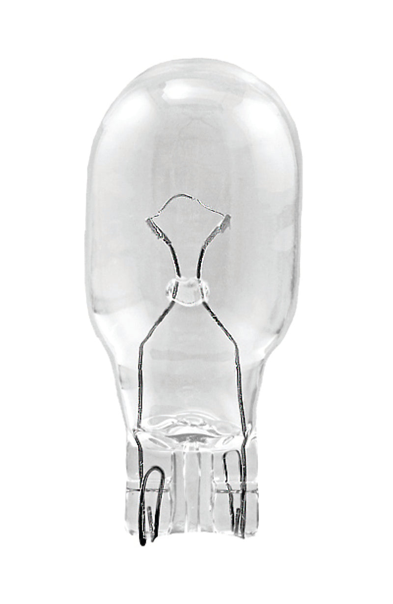 Hella 12V 13W Bulb | Ford Ranger (19-26) (912)