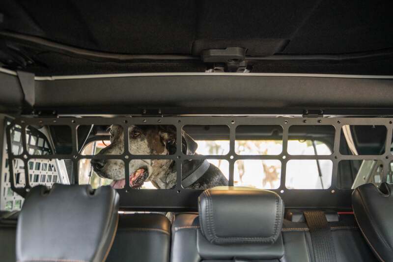 DV8 Offroad Ford Bronco Dog Barrier | Ford Bronco (21-26) (MPBR-10)
