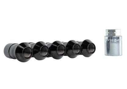 Ford Racing 2023+ Ford Bronco Raptor M14 x 1.5 Black Security Lug Nut Kit | Ford Bronco (21-26) (M-1A043-A5)
