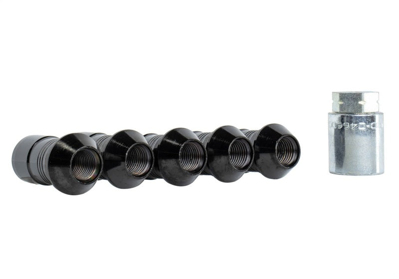 Ford Racing 2023+ Ford Bronco Raptor M14 x 1.5 Black Security Lug Nut Kit | Ford Bronco (21-26) (M-1A043-A5)